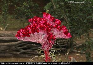 神人共悦成语接龙游戏