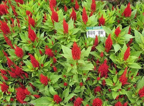 3月1日，你终于来了