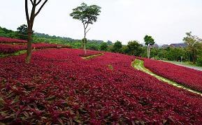 一点一滴看中国社会