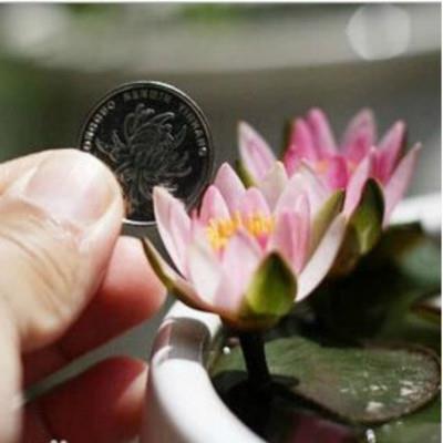 洞悉底蕴成语接龙游戏
