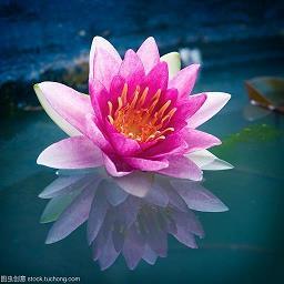忠贞不贰成语接龙游戏