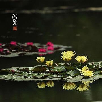 继继存存成语接龙游戏