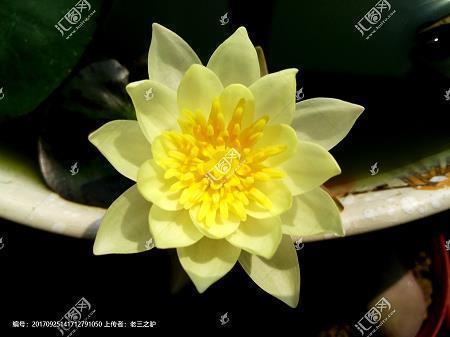 绵绵不断成语接龙游戏