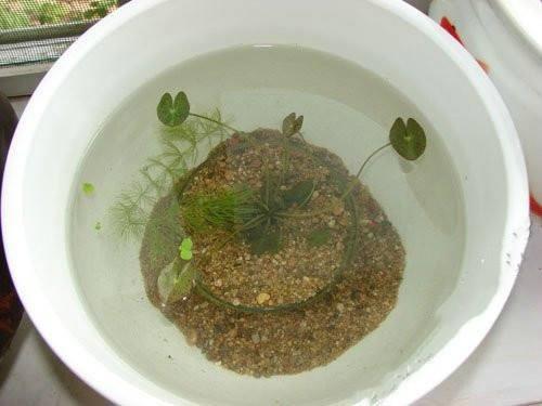 奔逸绝尘成语接龙游戏