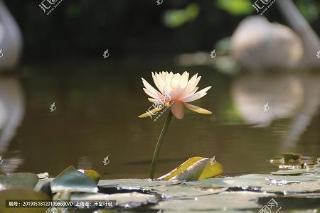珍藏密敛成语接龙游戏