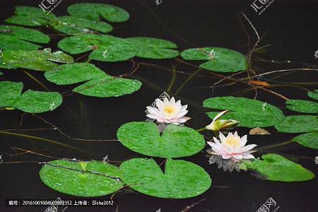 拱手低眉成语接龙游戏