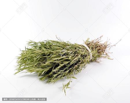 惭愧无地成语接龙游戏