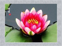 攫为己有成语接龙游戏