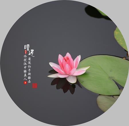按行自抑成语接龙游戏