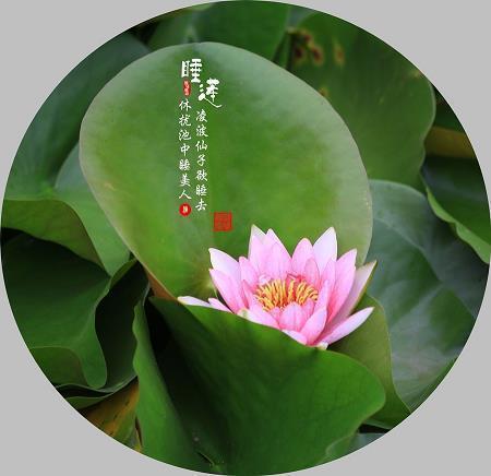 椎轮大辂成语接龙游戏
