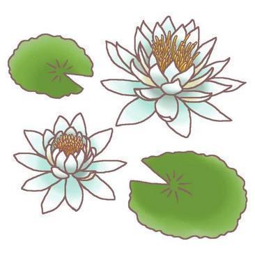 宴安鸠毒成语接龙游戏