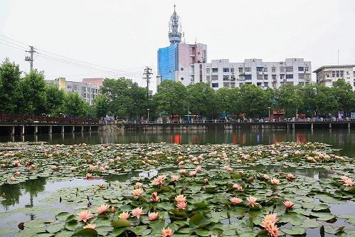 泛泛之谈成语接龙游戏