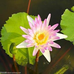 浅见寡闻成语接龙游戏