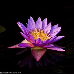 马首欲东成语接龙游戏