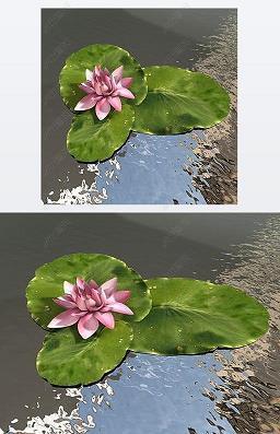 浸微浸灭成语接龙游戏