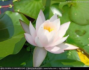 揣时度力成语接龙游戏