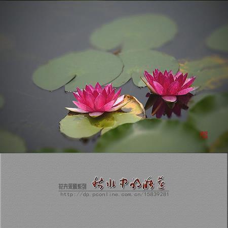 一块变九块打一成语