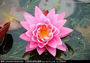 漠漠无闻成语接龙游戏