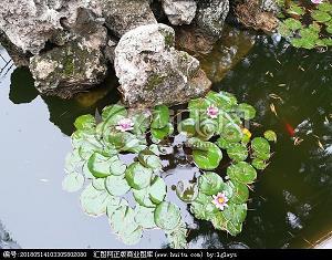 慢条厮礼成语接龙游戏