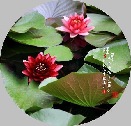王母娘娘蟠桃宴打一成语