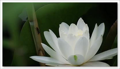 见贤思齐成语接龙游戏