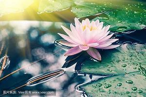 浑然一体成语接龙游戏