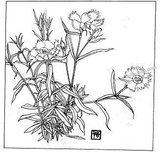 高城深沟成语接龙游戏