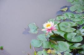 沉博绝丽成语接龙游戏