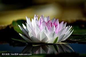 逢机遘会成语接龙游戏