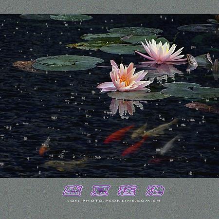 辞尊居卑成语接龙游戏