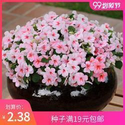 运策决机成语接龙游戏