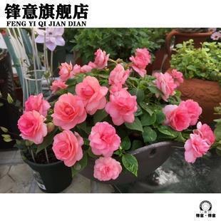 截发锉藳成语接龙游戏