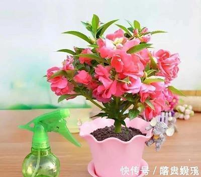 研幾析理成语接龙游戏