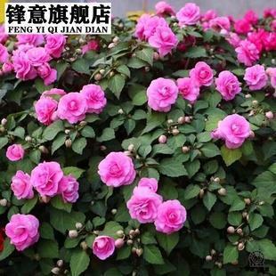 经济之才成语接龙游戏