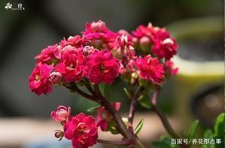 八打一成语