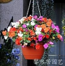 星牖月窗成语接龙游戏