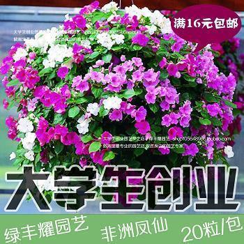 杏腮桃脸成语接龙游戏