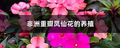 拱手听命成语接龙游戏