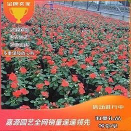详细记录打一成语