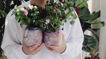 携老挈幼成语接龙游戏