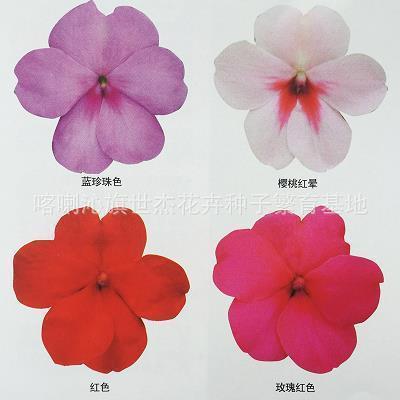 饮泉清节成语接龙游戏