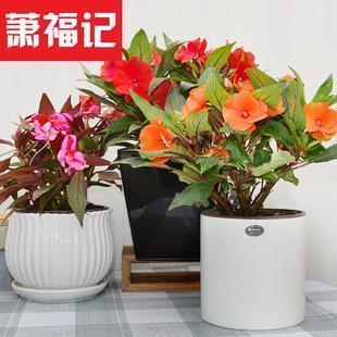 德容兼备成语接龙游戏