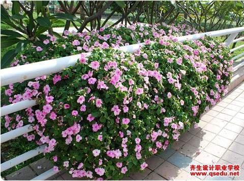 蔽日干云成语接龙游戏