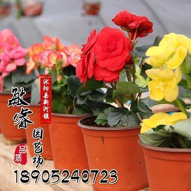 蟠屈缭纠成语接龙游戏