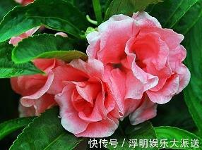 说三道四成语接龙游戏