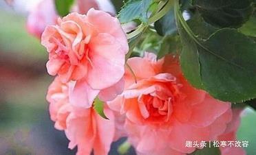 流溺忘反成语接龙游戏