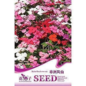 濯缨弹冠成语接龙游戏