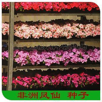 曹孟德马踏青苗打一成语