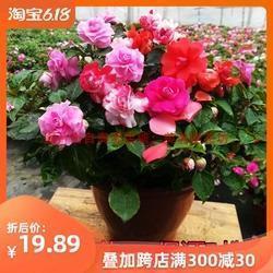 推燥居湿成语接龙游戏