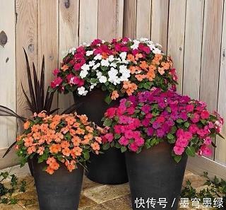 寒风刺骨成语接龙游戏
